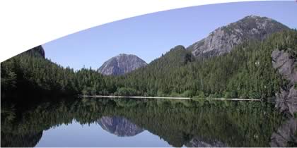 Global Connections ... Local Service